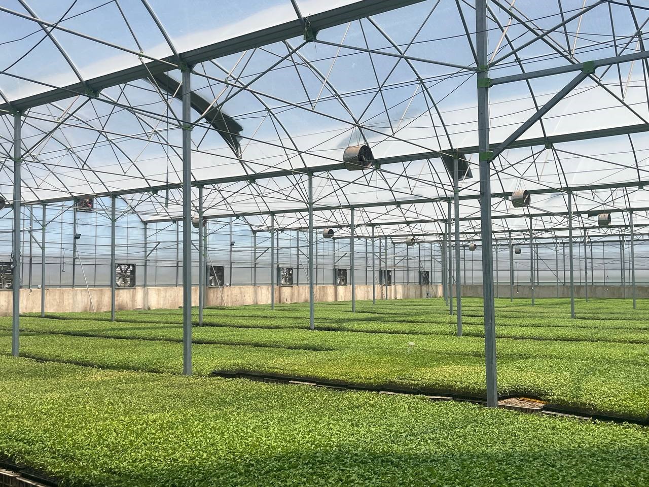 2025 – Site Visit to Greenhouse Projects, Khorasan Razavi – Fariman